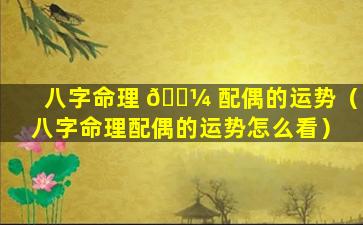 八字命理 🌼 配偶的运势（八字命理配偶的运势怎么看）